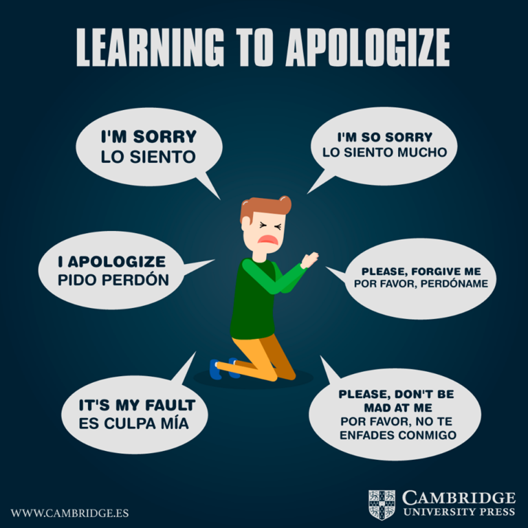 pedir perdón en inglés