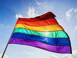 dia del orgullo y lenguaje inclusivo