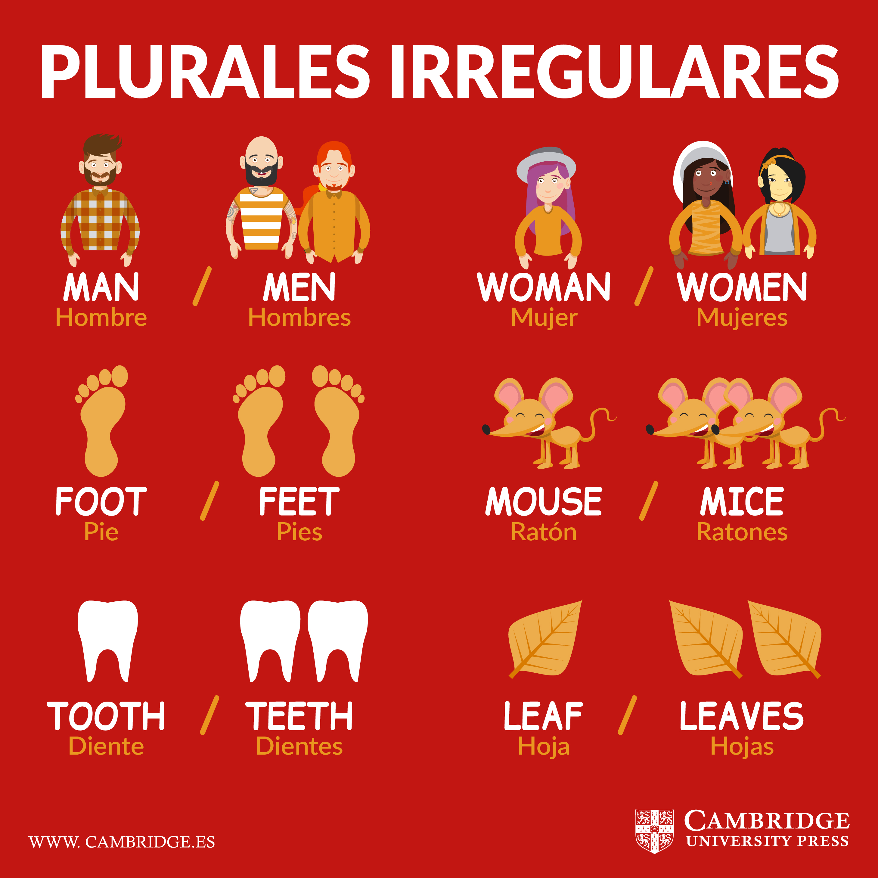 Plurales Irregulares En Inglés Blog Cambridge 1899