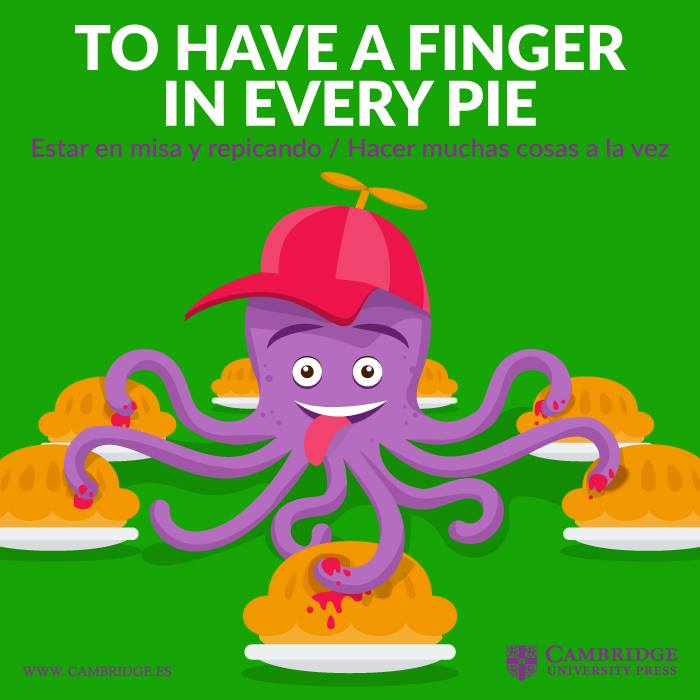 have a finger every pie