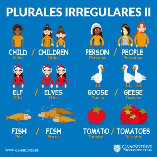 plurales irregulares ingles