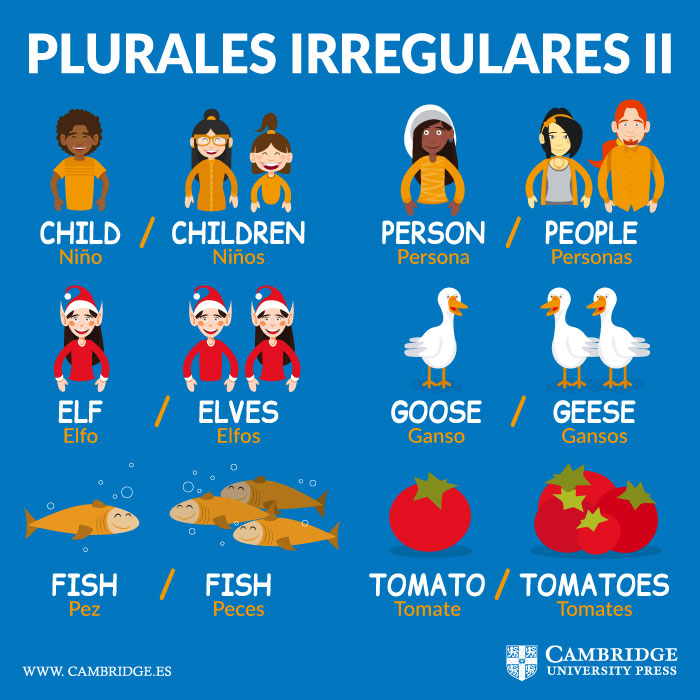 plurales irregulares ingles