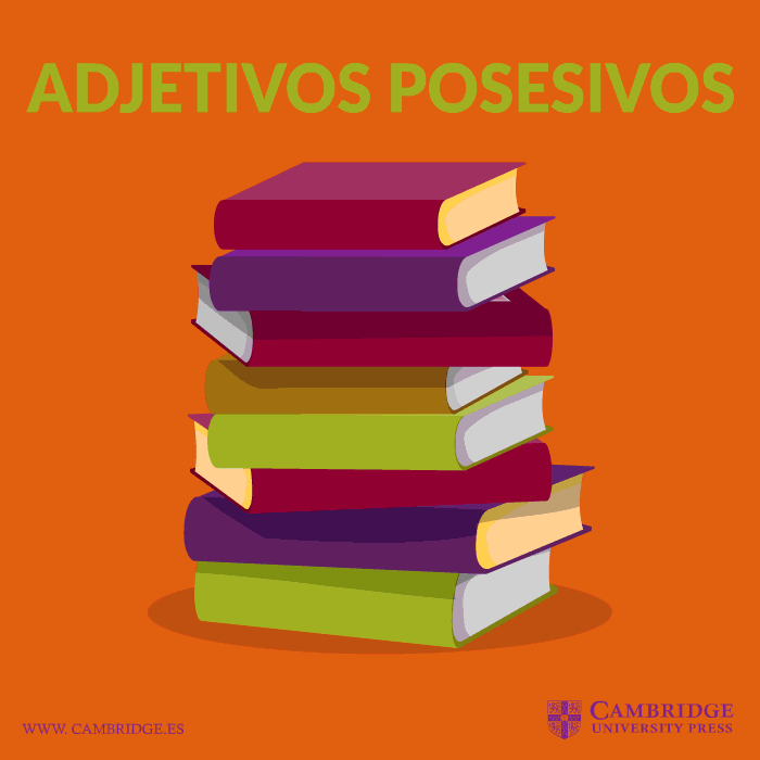 Los adjetivos posesivos nos indican quién posee algo. Es muy importante que aprendas a utilizarlos correctamente, pues su uso es más frecuente en inglés que en español.