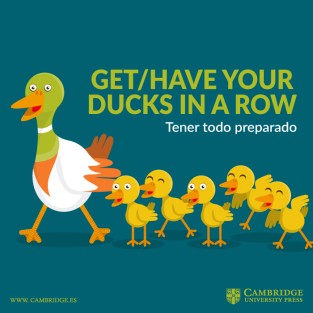 get your ducks in a row