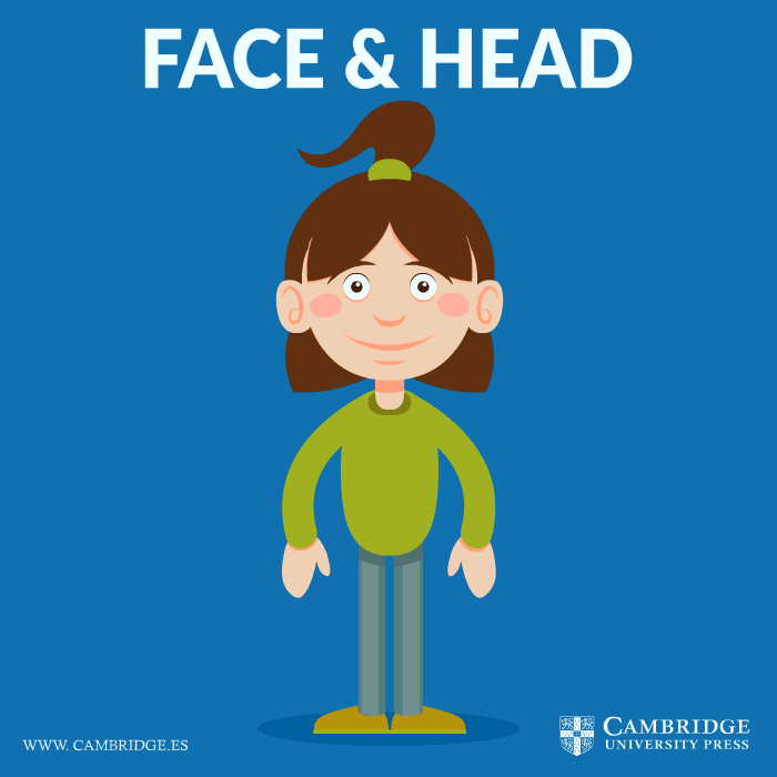 face and head vocabulary