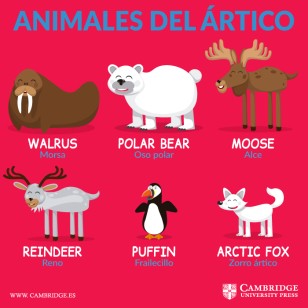 animales del ártico en inglés