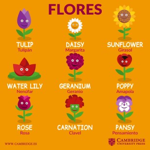 flores en inglés
