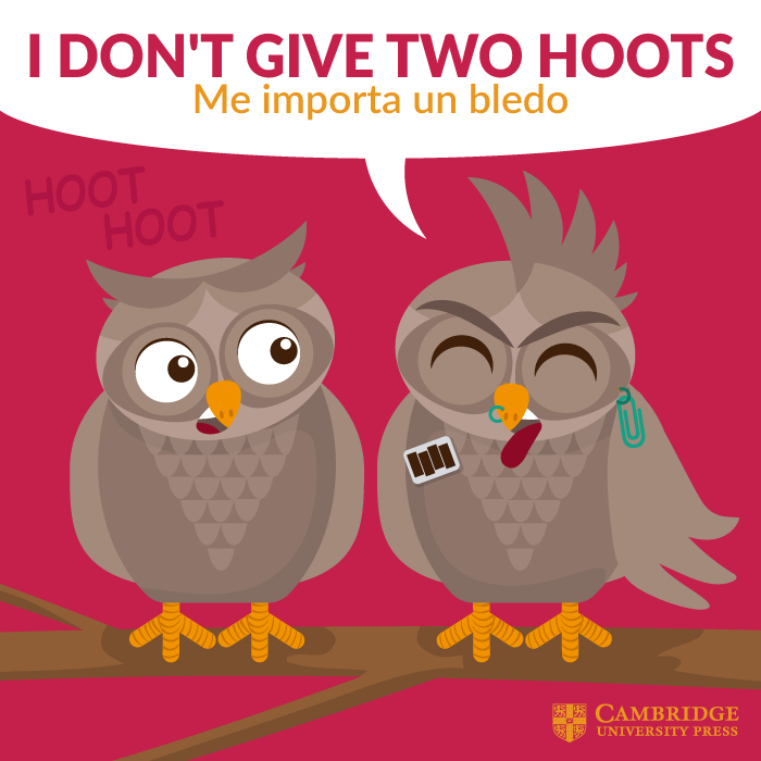 i don't give two hoots