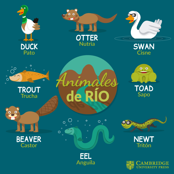 animales de rio
