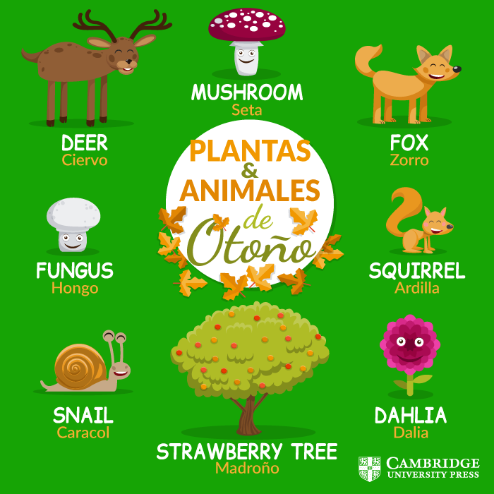 vocabulario plantas y animales de otoño en inglés