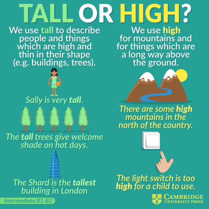 High or Tall?