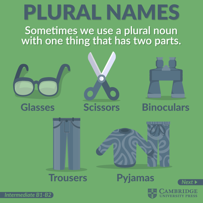 Nouns Which are Only Plural  My Lingua Academy