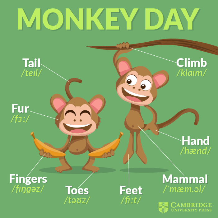 monkey-day