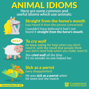 animal idioms