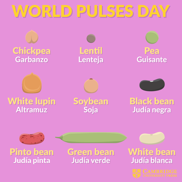 world pulses day
