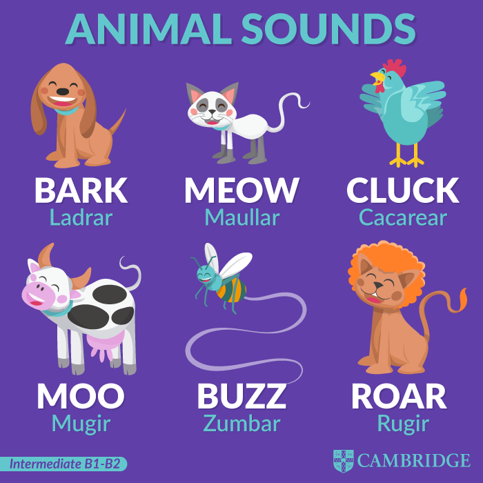 Animal sounds - Cambridge Blog