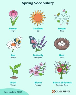 vocabulario spring ingles cambridge