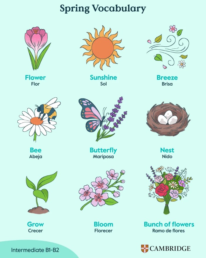 vocabulario spring ingles cambridge