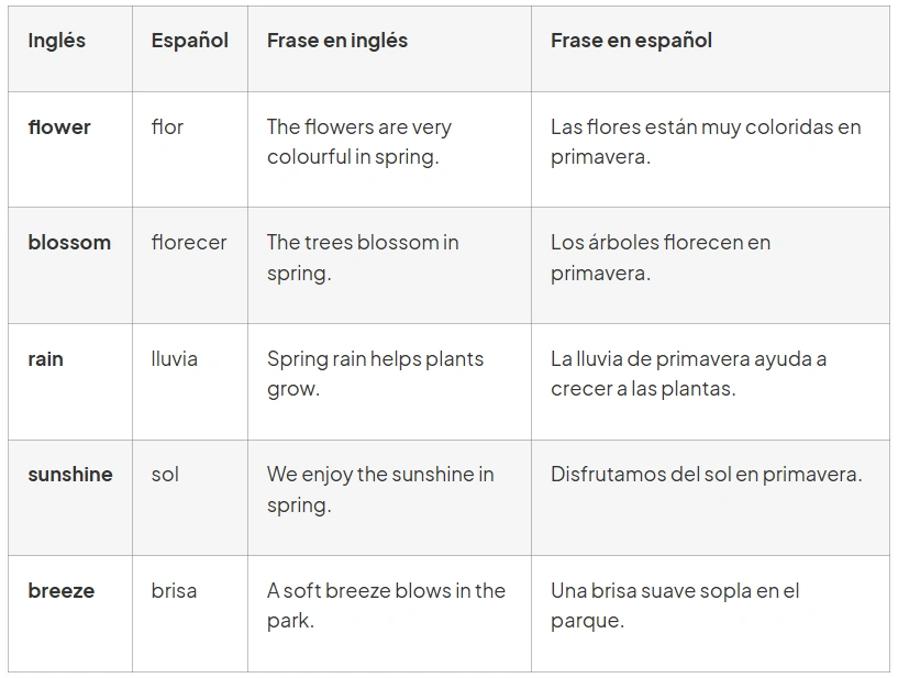 vocabulario sprin en inglés