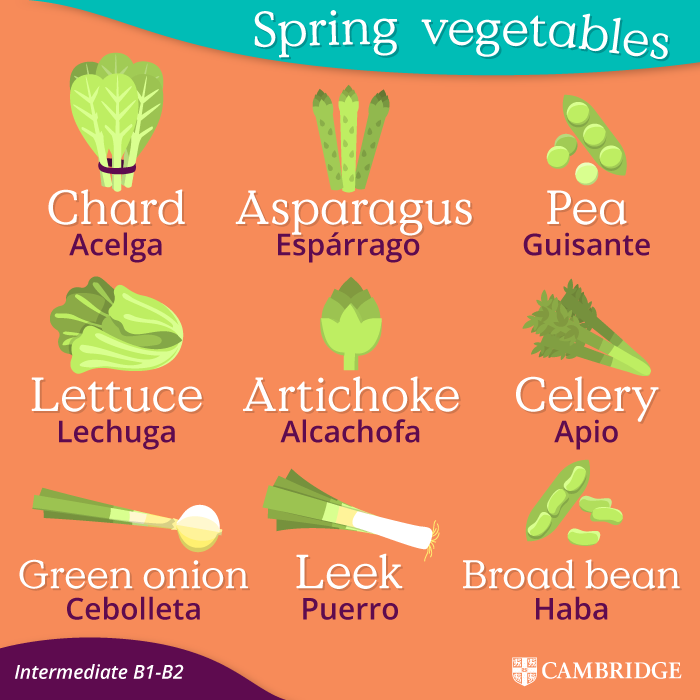 spring vegetables