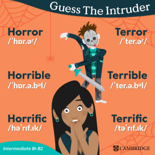 guess-the-intruder