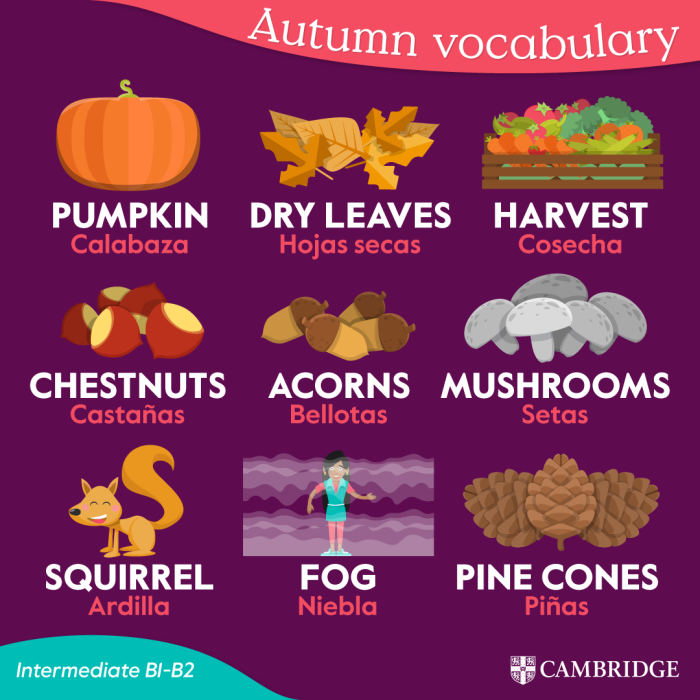 Autumn-vocabulary