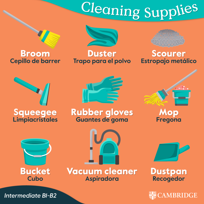 cleaning-supplies