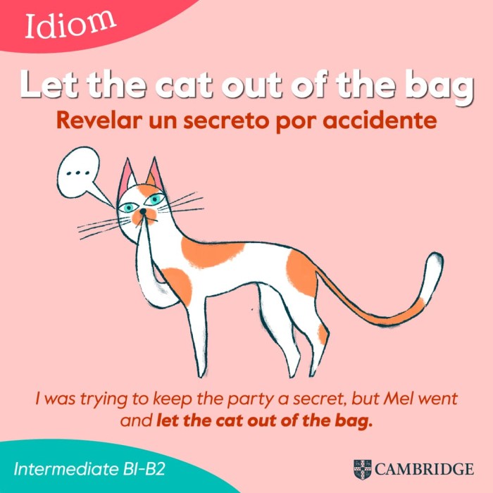 Let the cat out of the bag'
