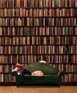 consejos reading C1 advanced